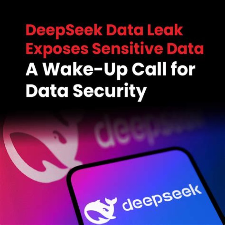 Jellybean Security Breach: Data Leak Exposes User Information