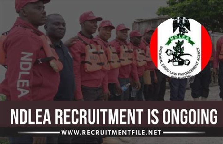 Join The Fight Against Drugs: NDLEA Recruitment Now Open!