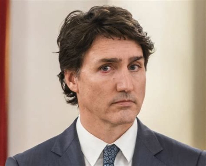 Justin Trudeau Investment Advice: Expert Portfolio Analysis