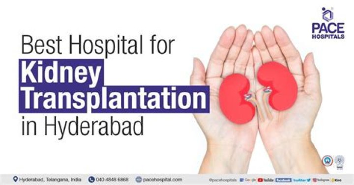 Kidney Transplant Scars: Causes, Treatment Options, And Prevention
