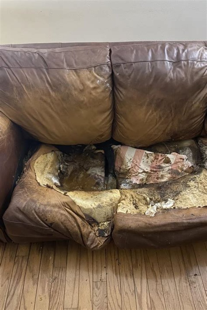 Lacey Fletcher In Sofa Photos