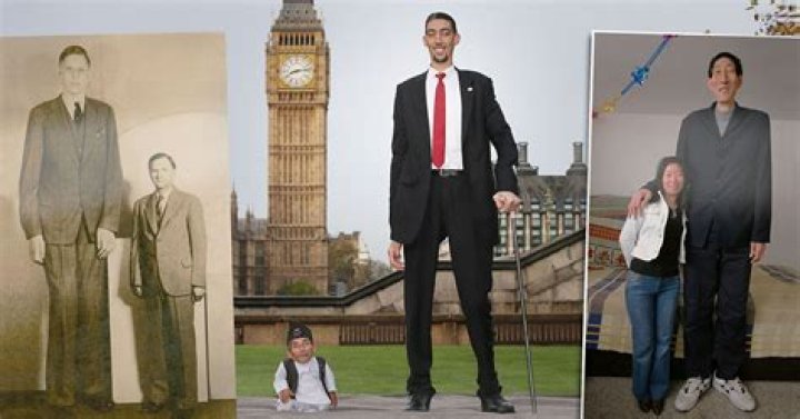 Liam Neeson's Towering Stature And Impressive Height