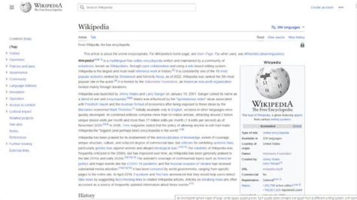 Lori Fink's Wikipedia Page: Explore Her In-Depth Profile
