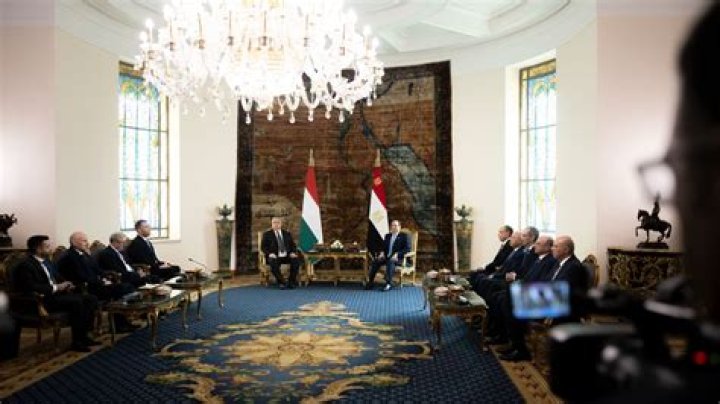 Magyarország Egyiptom online közvetítés Eladó 1 font egyiptom 27 július 2024