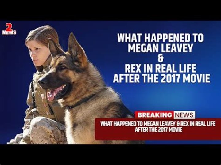 Matt Morales And Megan Leavey, Love And Service