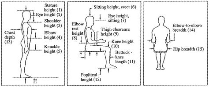 Matt Rife's Stature: Height And Weight Explored