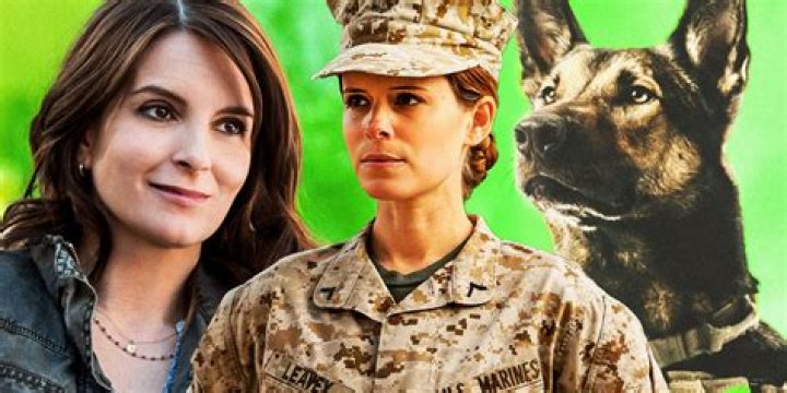 Meet Matt Morales: The Husband Of War Hero Megan Leavey