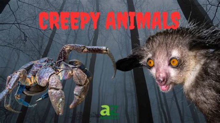 Meet The Scariest Animals On Earth
