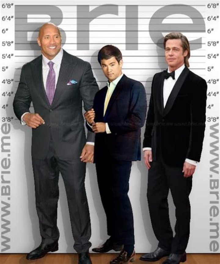 Meg Ryan's Height: The Perfect Stature For Hollywood Success