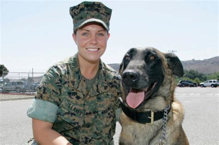 Megan Leavey And Marine Dog Marry Morales