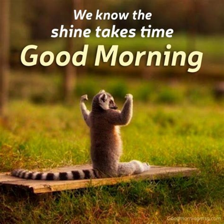 Mesmerizing Good Morning Memes To Brighten Your Day