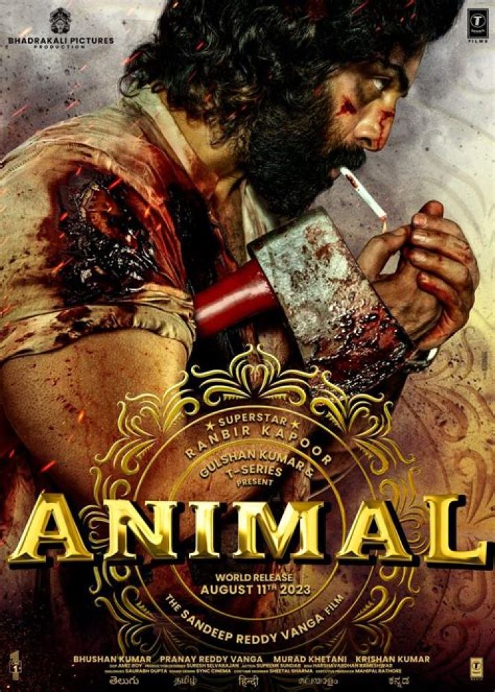 Mkvmoviespoint: Your Bollywood Movie Hub | Enjoy HD Bollywood Films