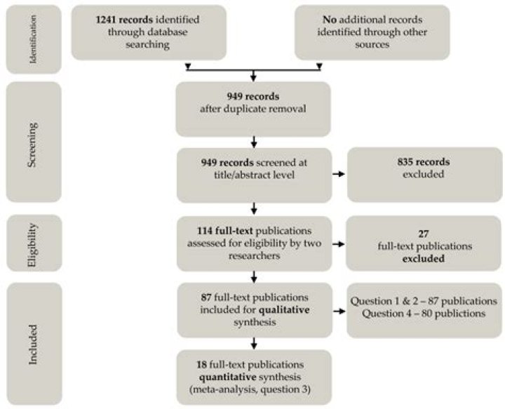 Molly Nobritt: A Comprehensive Analysis Of Her Contributions To The Field