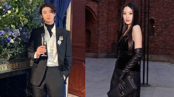 Moon Ga Young And Cha Eun Woo's Relationship Status In 2024: Rumors And Updates
