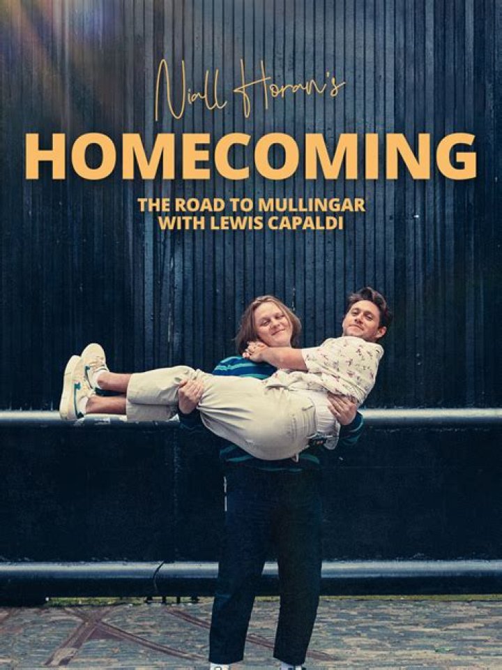 Niall Horan's Hometown: A Journey To Mullingar