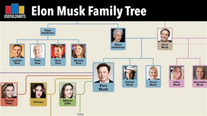 Nina Agdal And Elon Musk: A Timeline Of Their Relationship