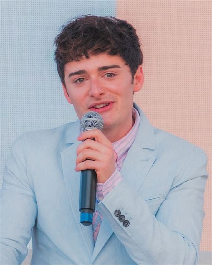 Noah Schnapp: An Exploration Of His Wikipedia Page