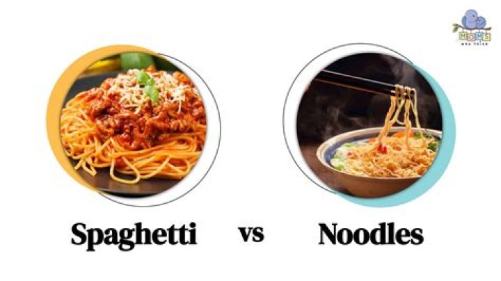 Noodle Magazine: Your Source For Noodle-y Goodness