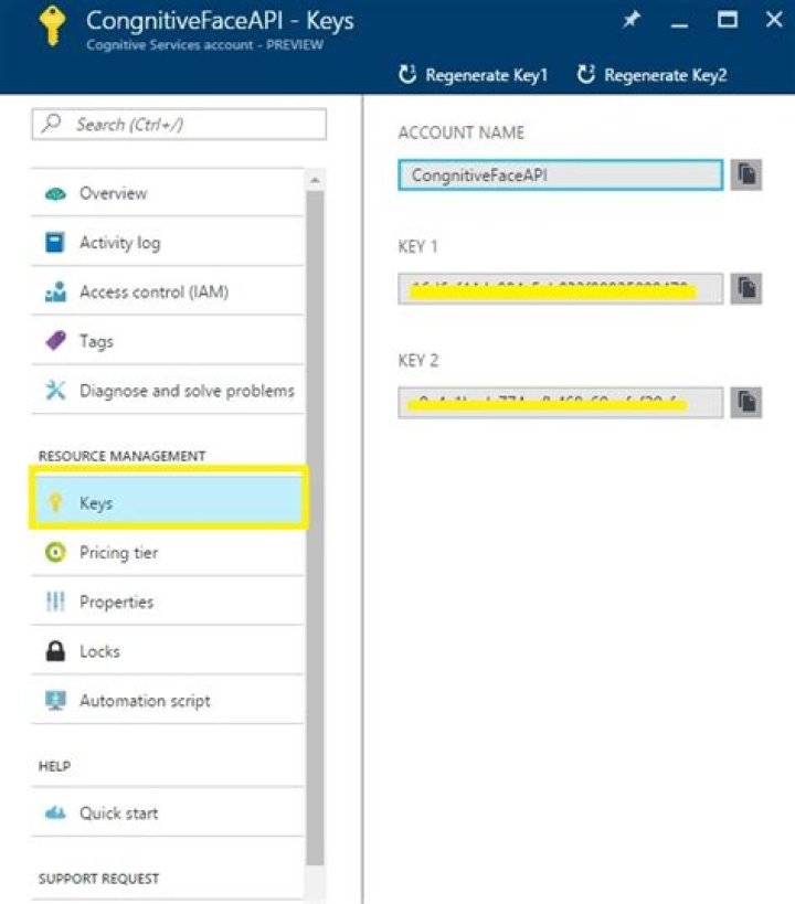 Overview (Microsoft Azure SDK for Cognitive Service Face API 1.0.0-beta API)