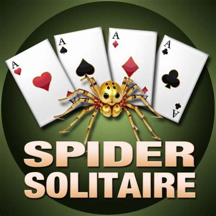 Play Spider Solitaire Online In Full Screen: Uninterrupted Solitaire Adventure