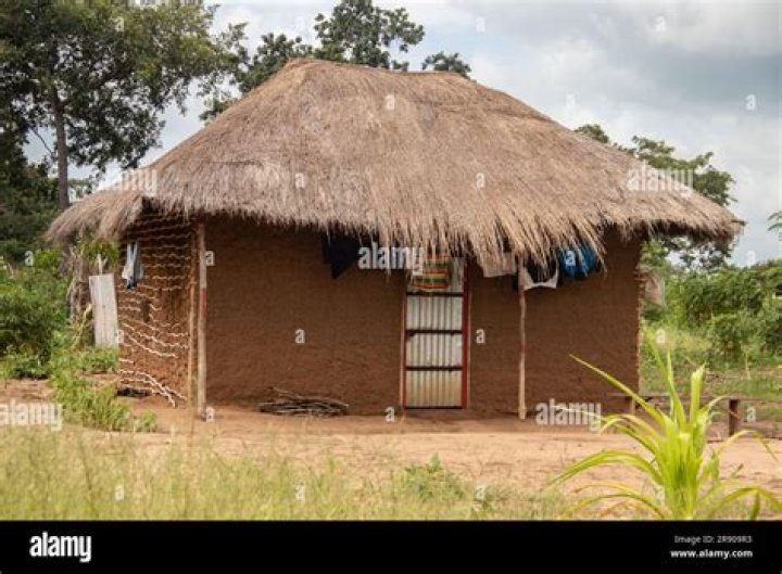 Primitive dwelling that might have a thatched roof ·
