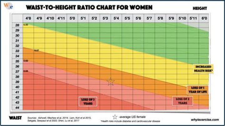 Priscilla Quintana Body Stats And Measurements