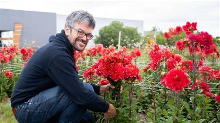 Professional Barrault Horticulture: Trusted Experts In Plant Care