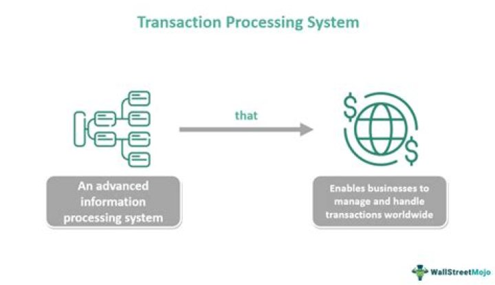 Professional Shailo Trans Services For Seamless Transaction Processing