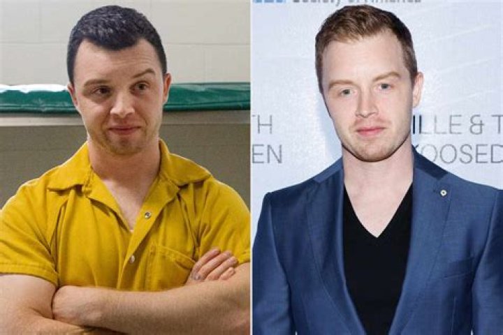 Prolific Ian Actor: Star Of Shameless