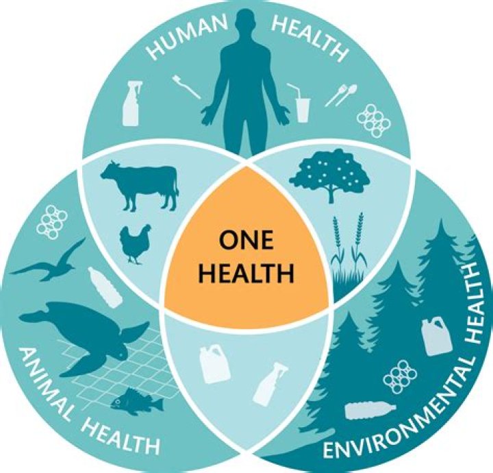 Protecting Health And The Environment