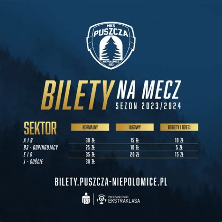 Puszcza Górnik na żywo online Puszcza Niepołomice - Górnik Zabrze relacja na żywo 26 lipca 2024 online
