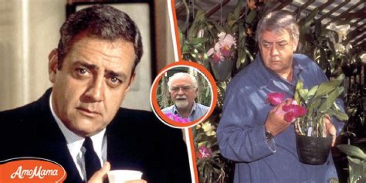 Raymond Burr's Staggering Net Worth: An Impressive Legacy Revealed