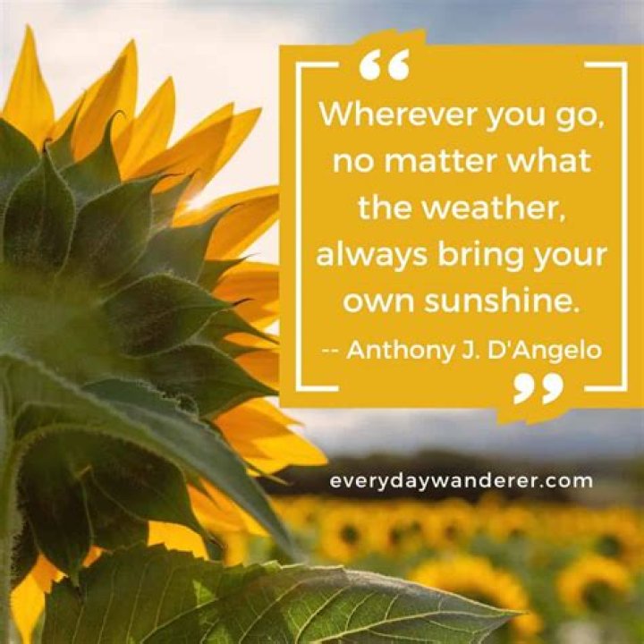 Seeds Of Wisdom To Brighten Your Day