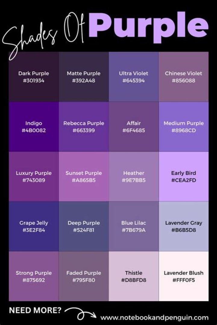 Shade of purple named for a fruit ·
