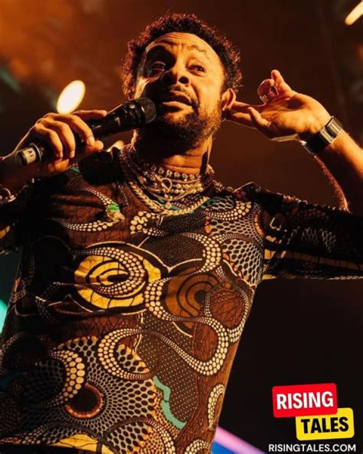 Shaggy's Net Worth: An Exploration By Forbes