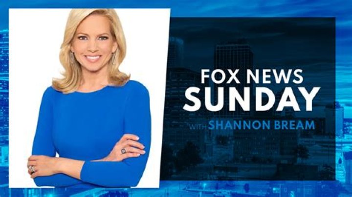 Shannon Bream's Choice On Motherhood