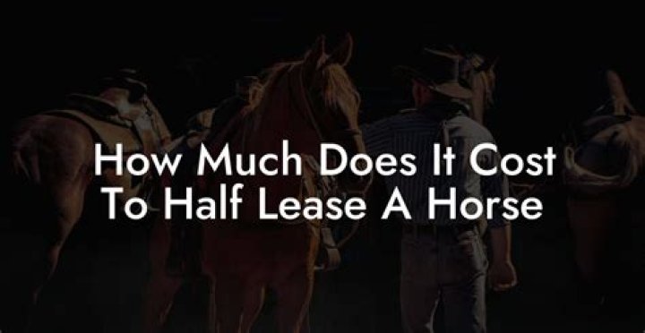 Should I half lease my horse? ·