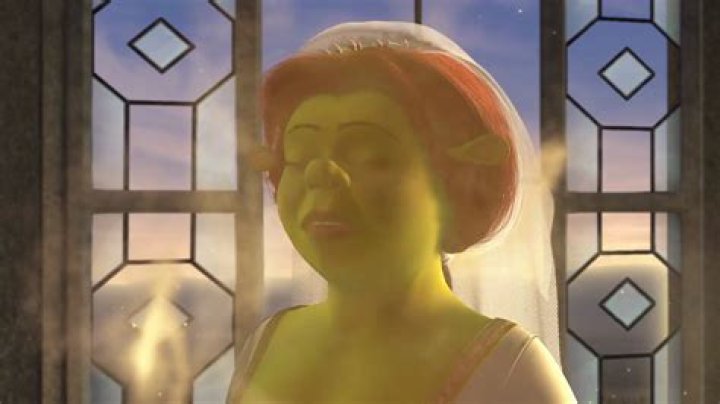 Shrek: The Unforgettable Ogre And His Princess
