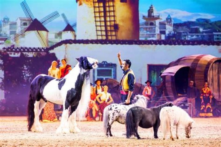 Star-Studded Lineage And Passion For Horses