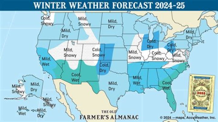 Stormy Daniels's Net Worth Predictions For 2024