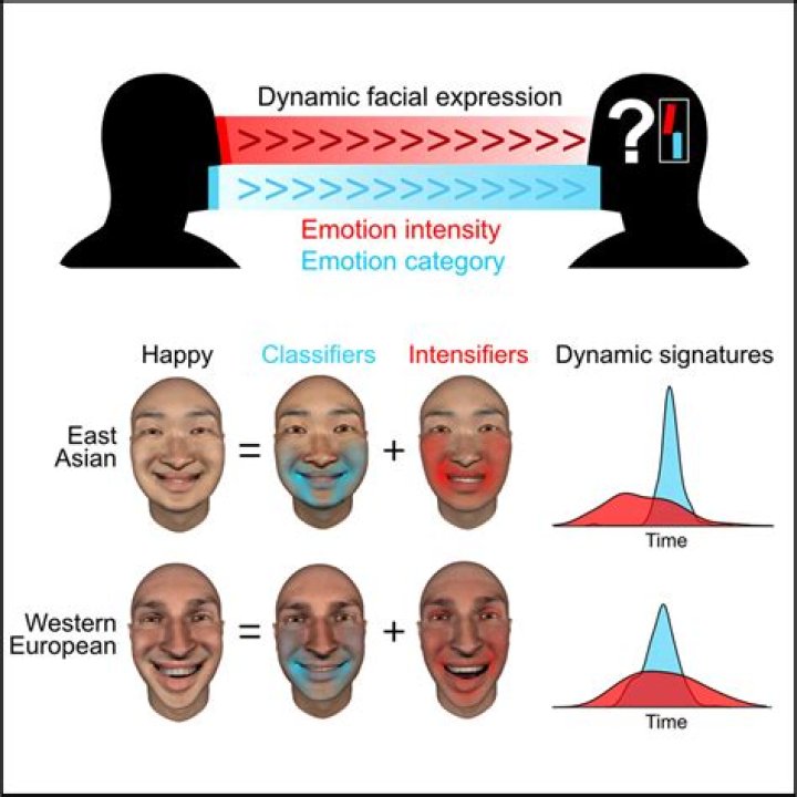Sweet And Playful Expressions Of Affection