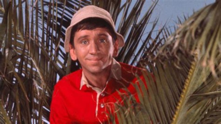 The Actor Behind Gilligan's Iconic Role
