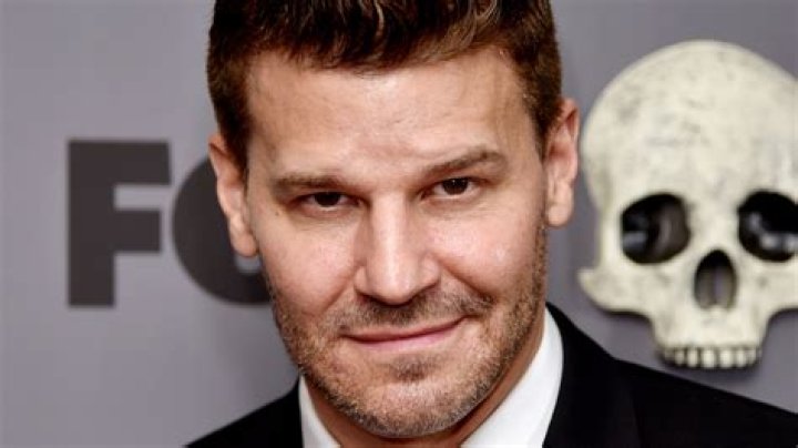 The Age Of David Boreanaz: Unveiling The Years