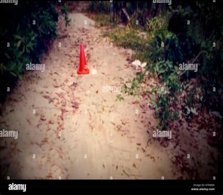 The Crime And Its Impact