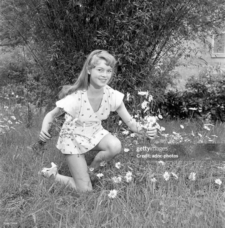 The Curious Childhood Of Brigitte Bardot: Uncovering Her Early Life