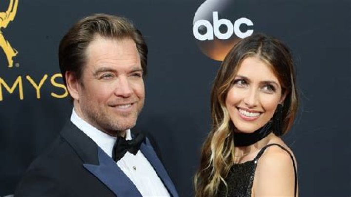 The Current Marital Status Of Michael Weatherly: Who Is He Married To Today?
