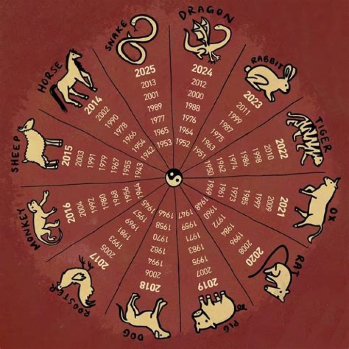 The Definitive Guide To The Chinese Zodiac 2018: Predictions And Insights