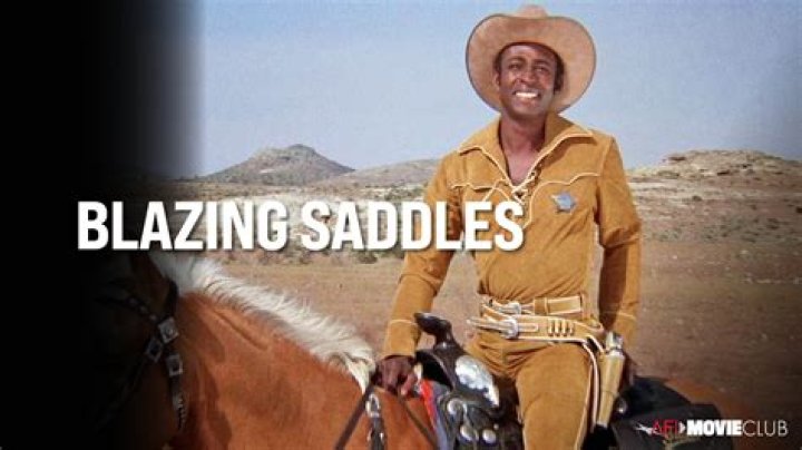 The Enduring Legacy Of Ms. Stein In Blazing Saddles
