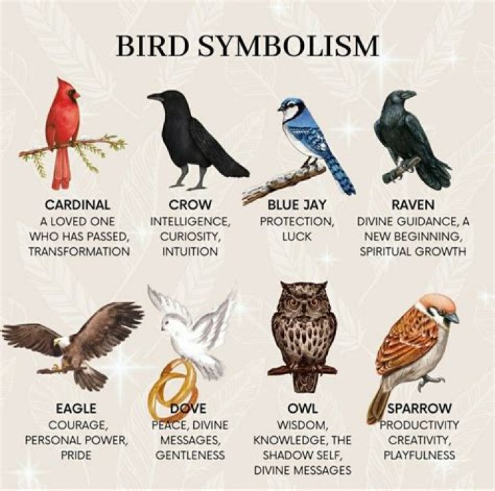 The Enigmatic Symbolism Of Birds: Nature's Messengers