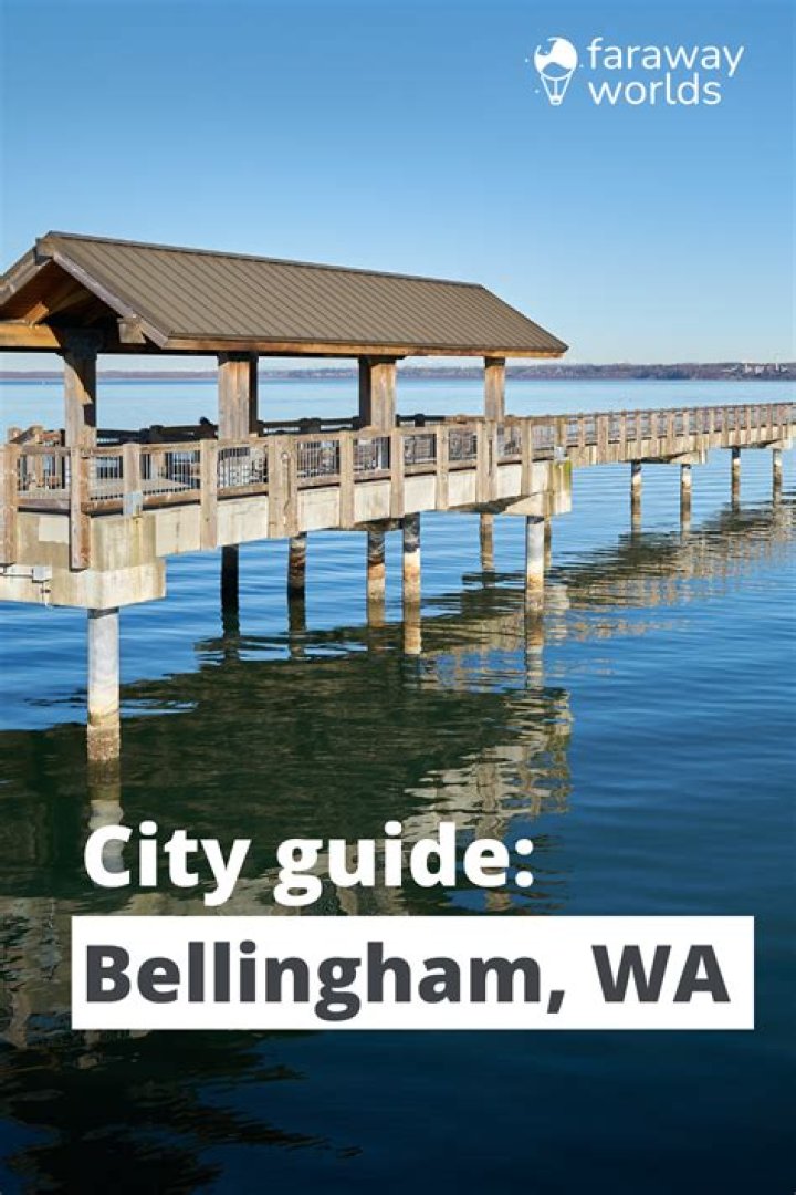 The Essential Guide To Bellingham Son: Everything You Need To Know